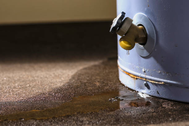 Water damage restoration experts in IN