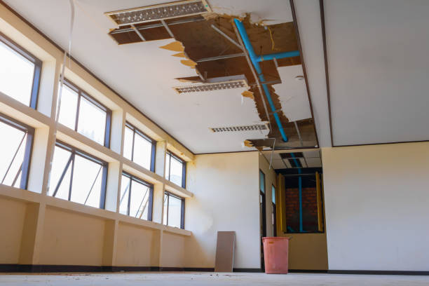 Best Mold removal after water damage  in Lagrange, IN