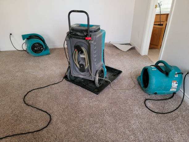 Best Flood damage cleanup  in Lagrange, IN
