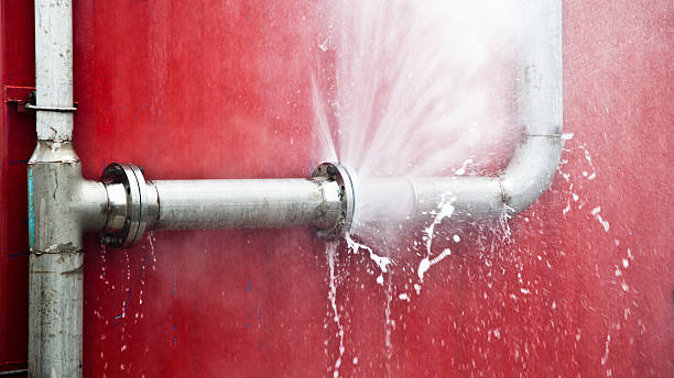 Best Flood restoration services  in Lagrange, IN